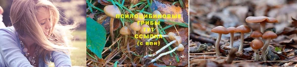 марки lsd Богородицк