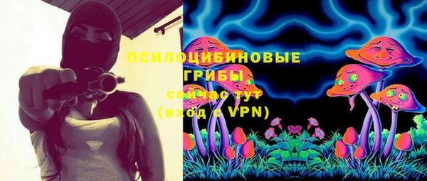 марки lsd Богородицк
