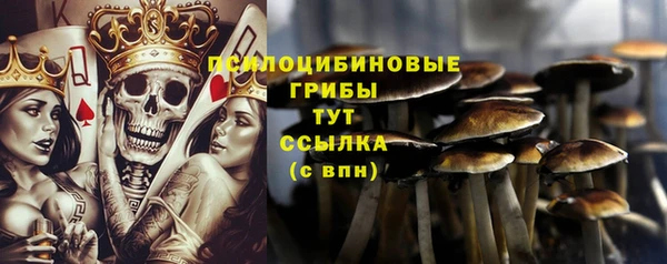 марки lsd Богородицк