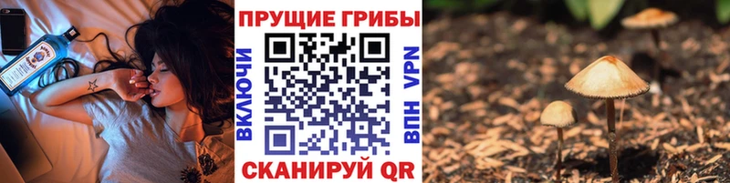 Псилоцибиновые грибы ЛСД  Болохово 